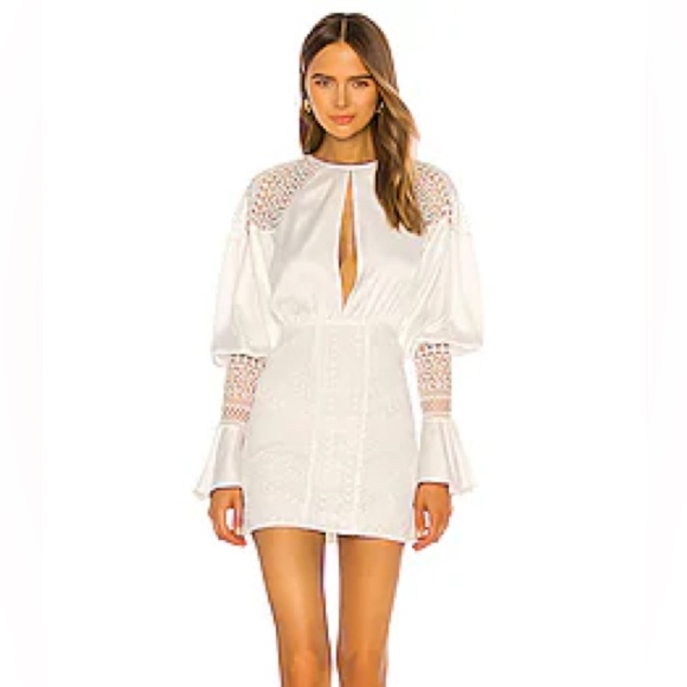 Micheal Costello x Revolve dress